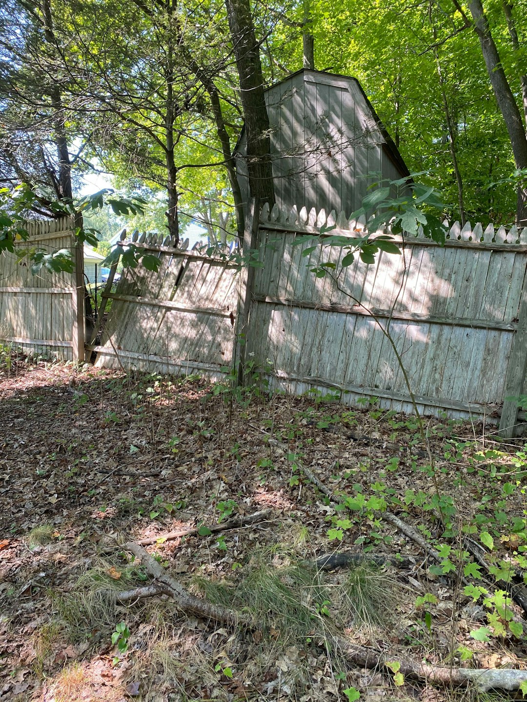Example of Fence Removal